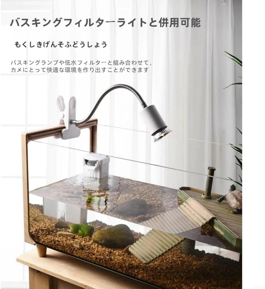 レア 英国アンティーク W Battersby リングケース イギリス イギリス